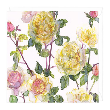 Card Charles Darwin Roses